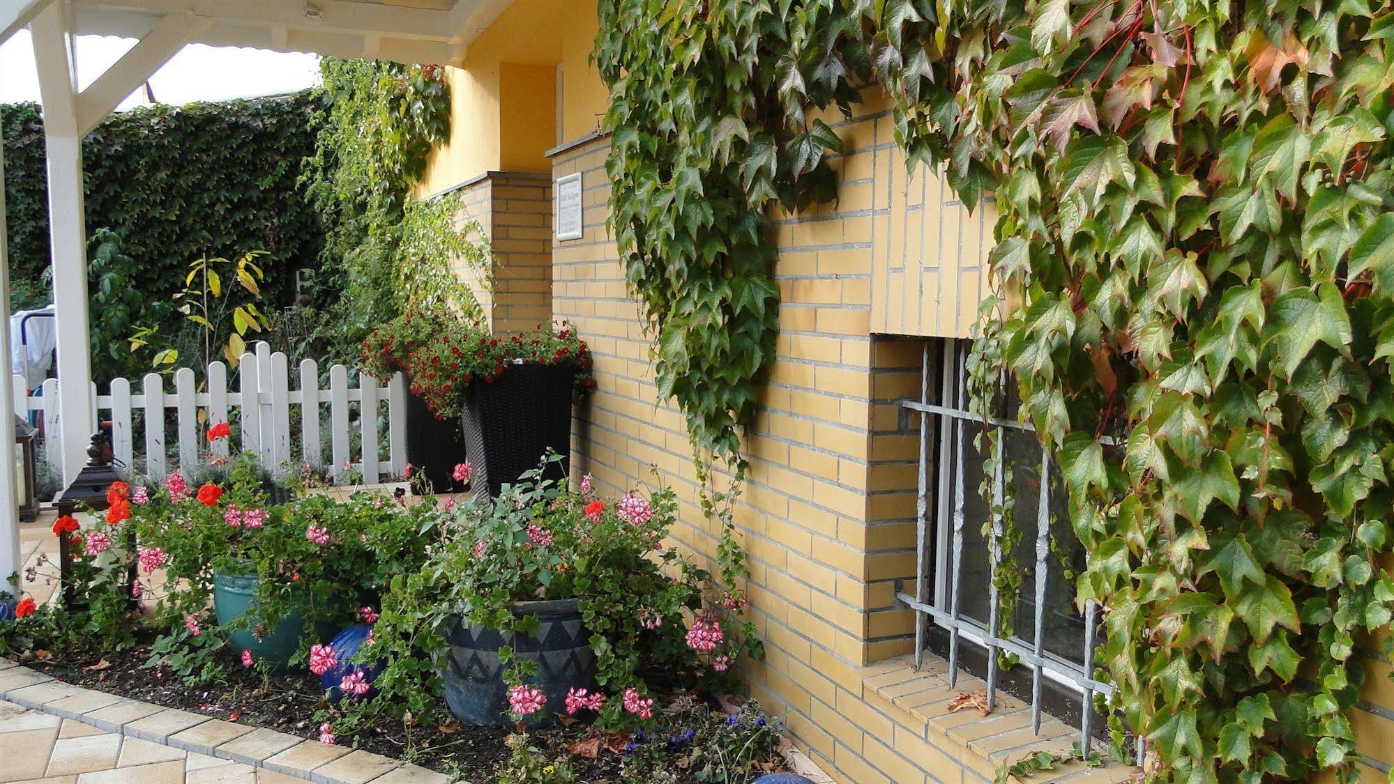 Hotel Dallgow Buitenkant foto